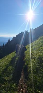 MINI TABOR HUDIČEV BORŠT (5)